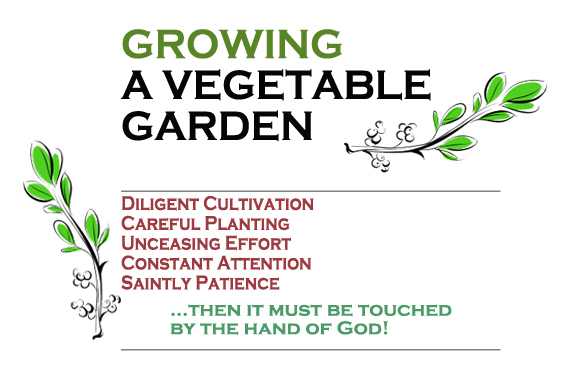 Growing_a_Vegetable_Garden
